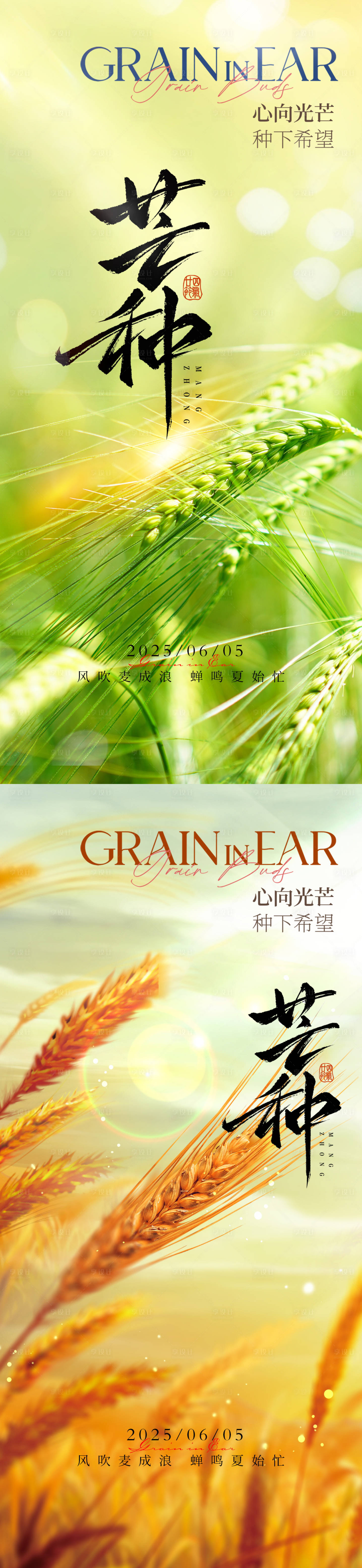 源文件下載【享設計】搜索編號：61180030871095347【芒種二十四節氣地產海報】
