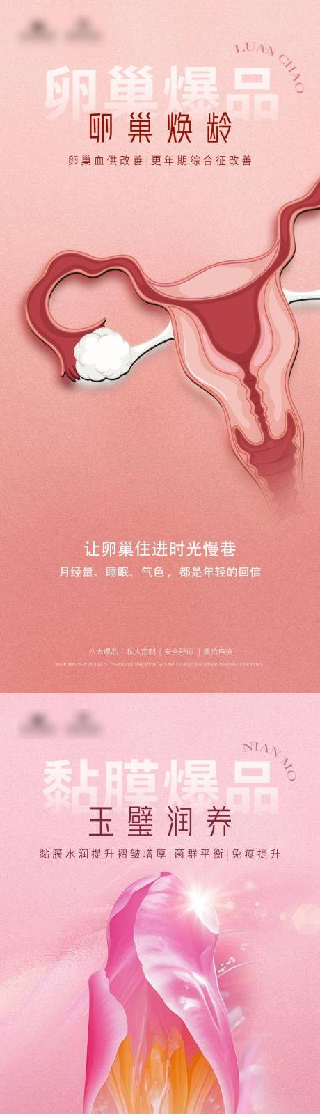 源文件下载【享设计】搜索编号：45490030573632567【私密卵巢黏膜科普系列海报】