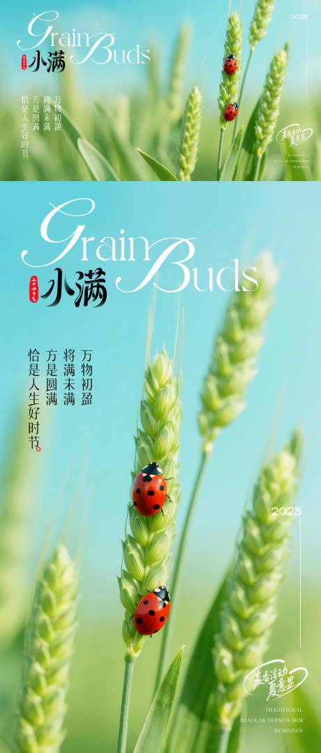 源文件下载【二十四节气小满海报】编号：76050030569802127