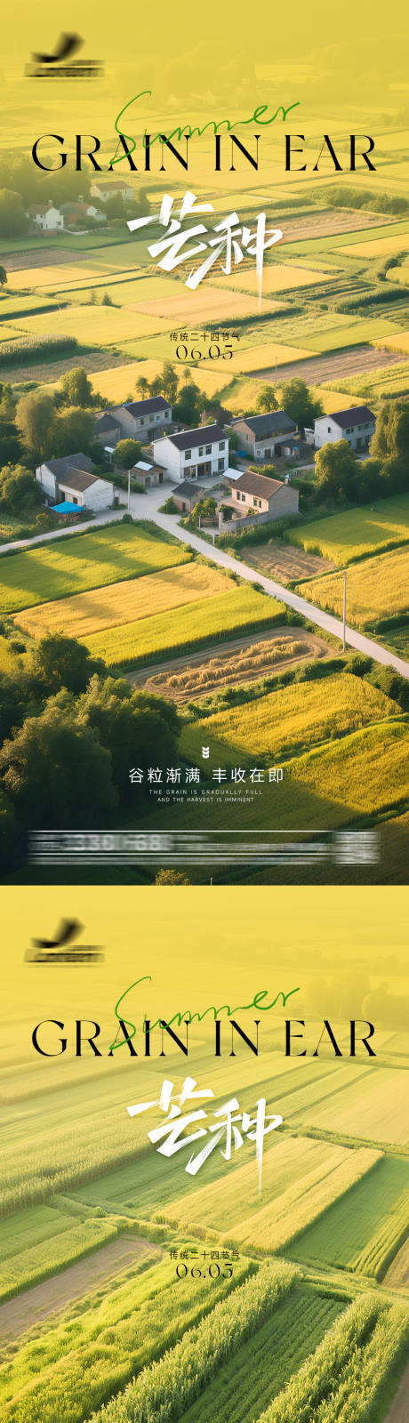 源文件下載【享設(shè)計】搜索編號：33650030939792366【芒種攝影海報】