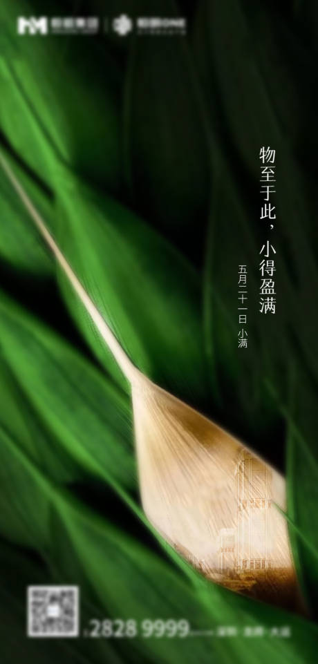 源文件下载【二十四节气小满海报】编号：46010030696794299