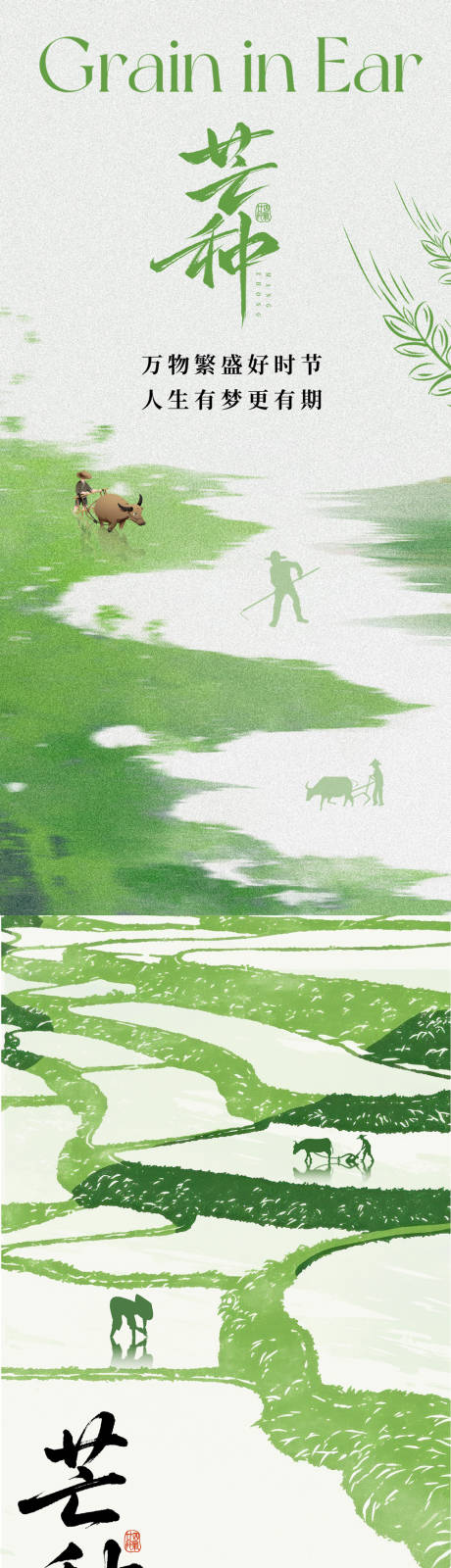 源文件下载【芒种海报】编号：61590031072531664