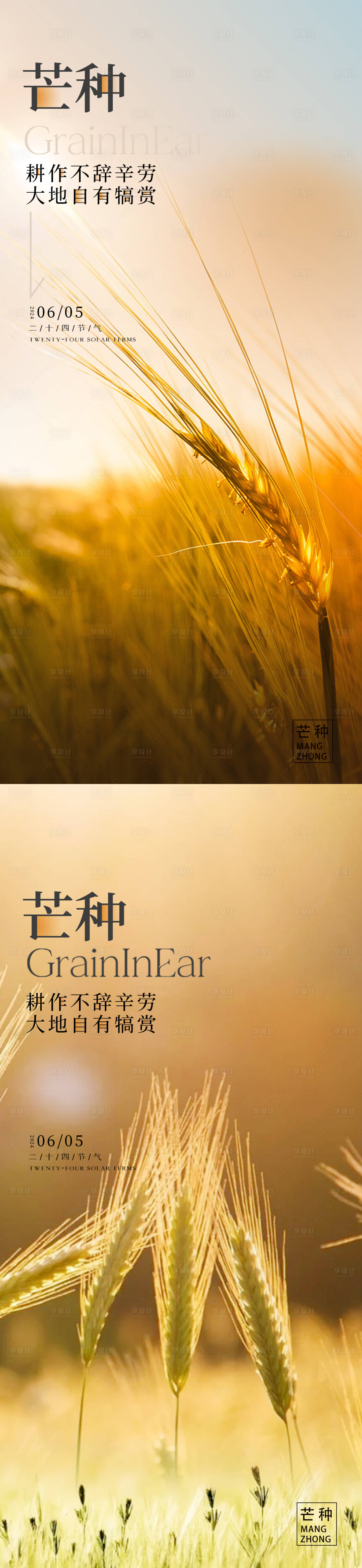 源文件下载【享设计】搜索编号：48050031067447747【芒种24节气海报】