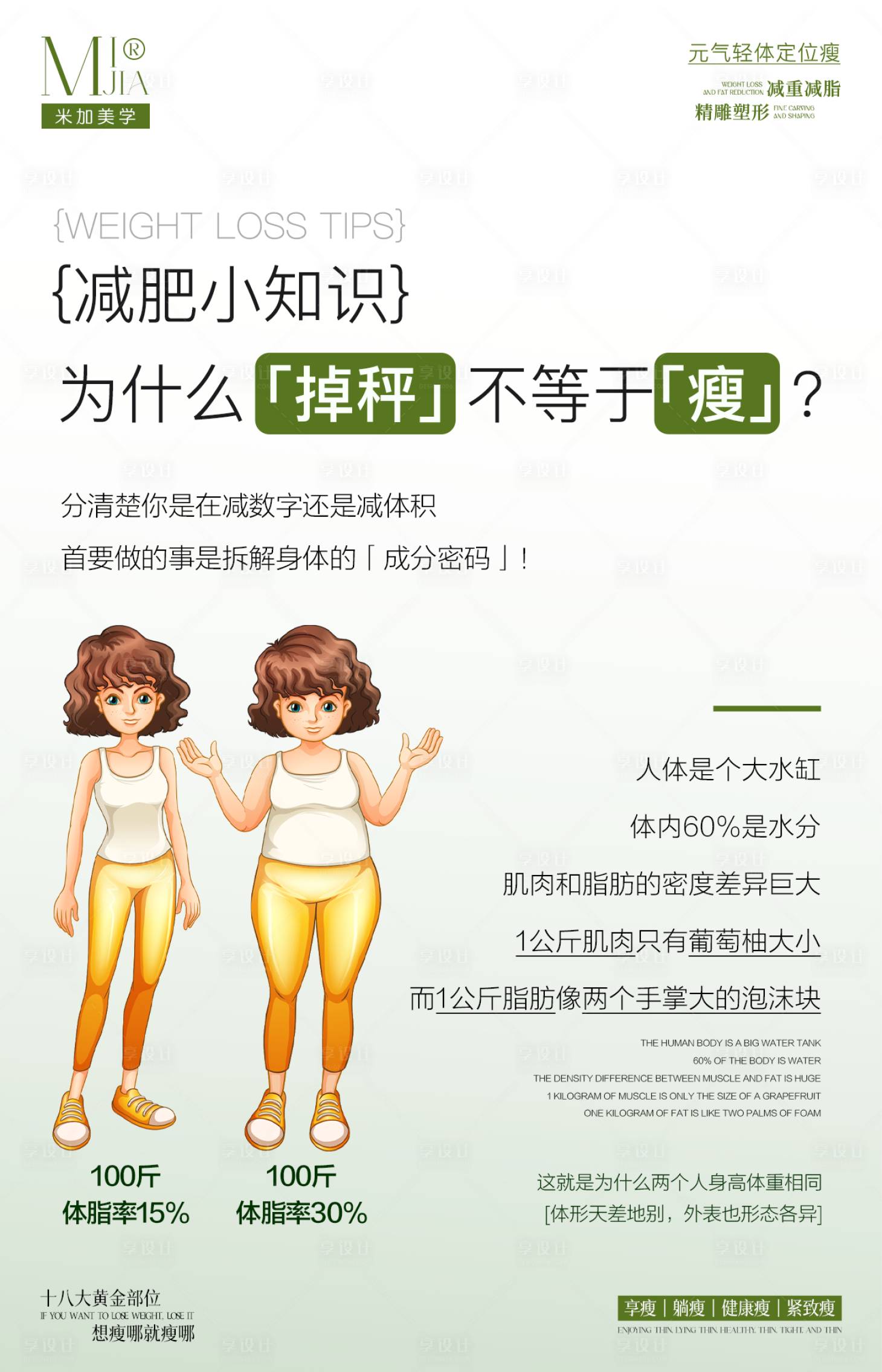 源文件下载【享设计】搜索编号：37020030666665740【减肥科普】