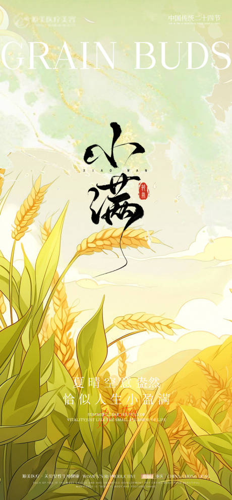 源文件下载【小满医美节气海报】编号：11630030578474909