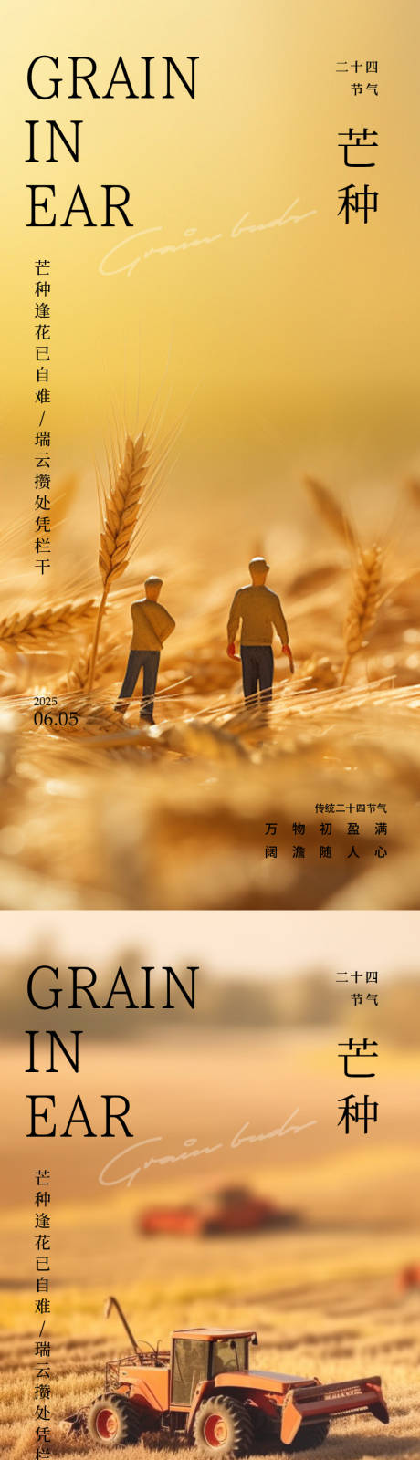 源文件下载【芒种24节气海报】编号：27400031067705194