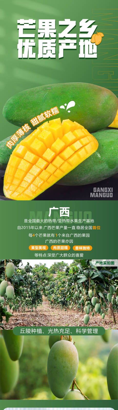 芒果详情页长图