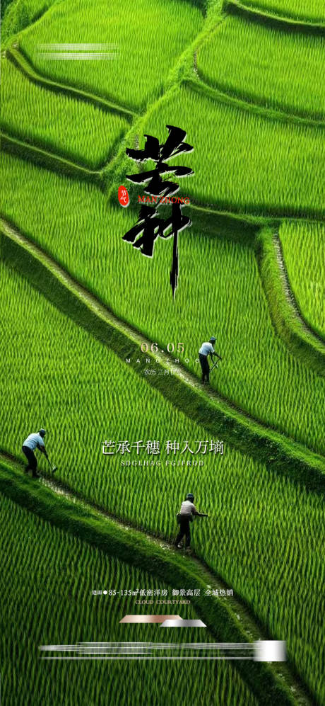 源文件下载【芒种节气海报】编号：92350030513128715