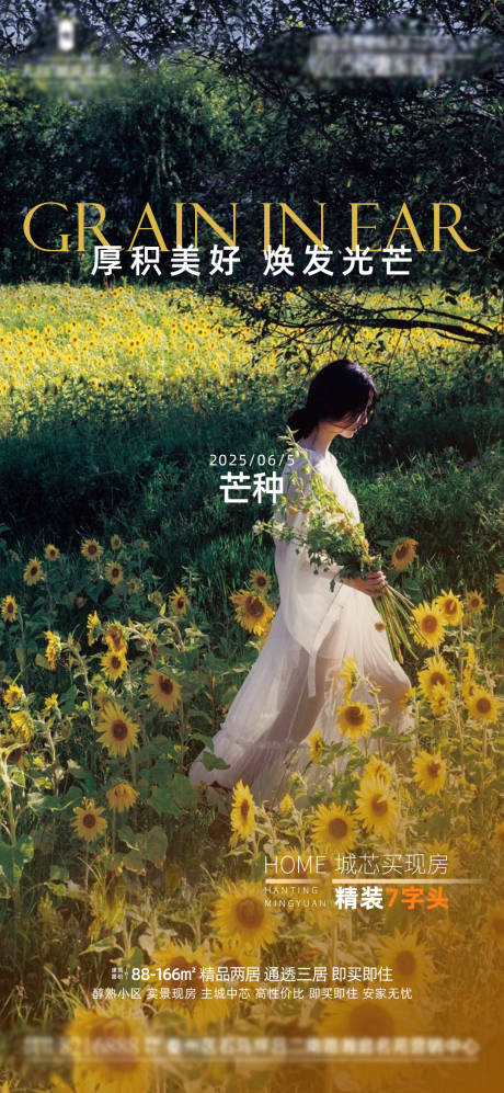 源文件下載【地產(chǎn)芒種節(jié)氣海報】編號：46360030941957889