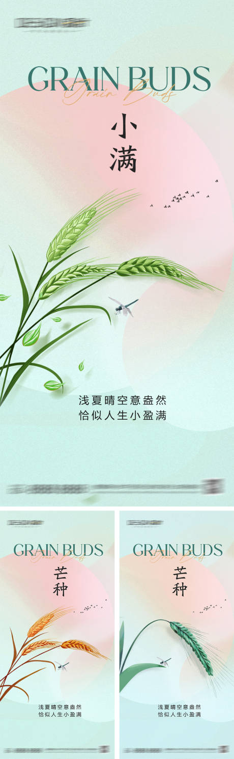 源文件下载【小满芒种节气系列海报】编号：56460030661629237
