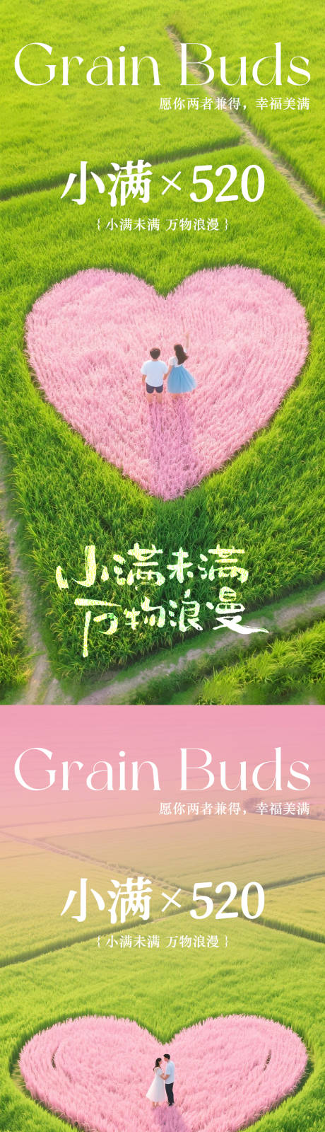 源文件下载【小满520海报】编号：31050030517441702