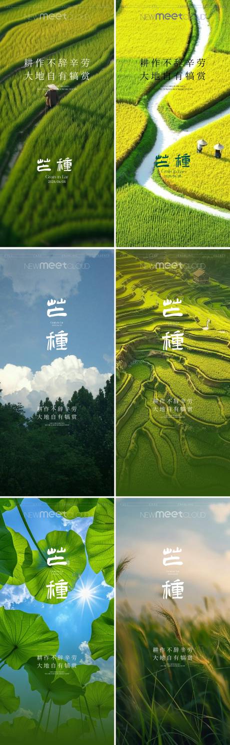 源文件下载【享设计】搜索编号：53390030867363398【芒种】