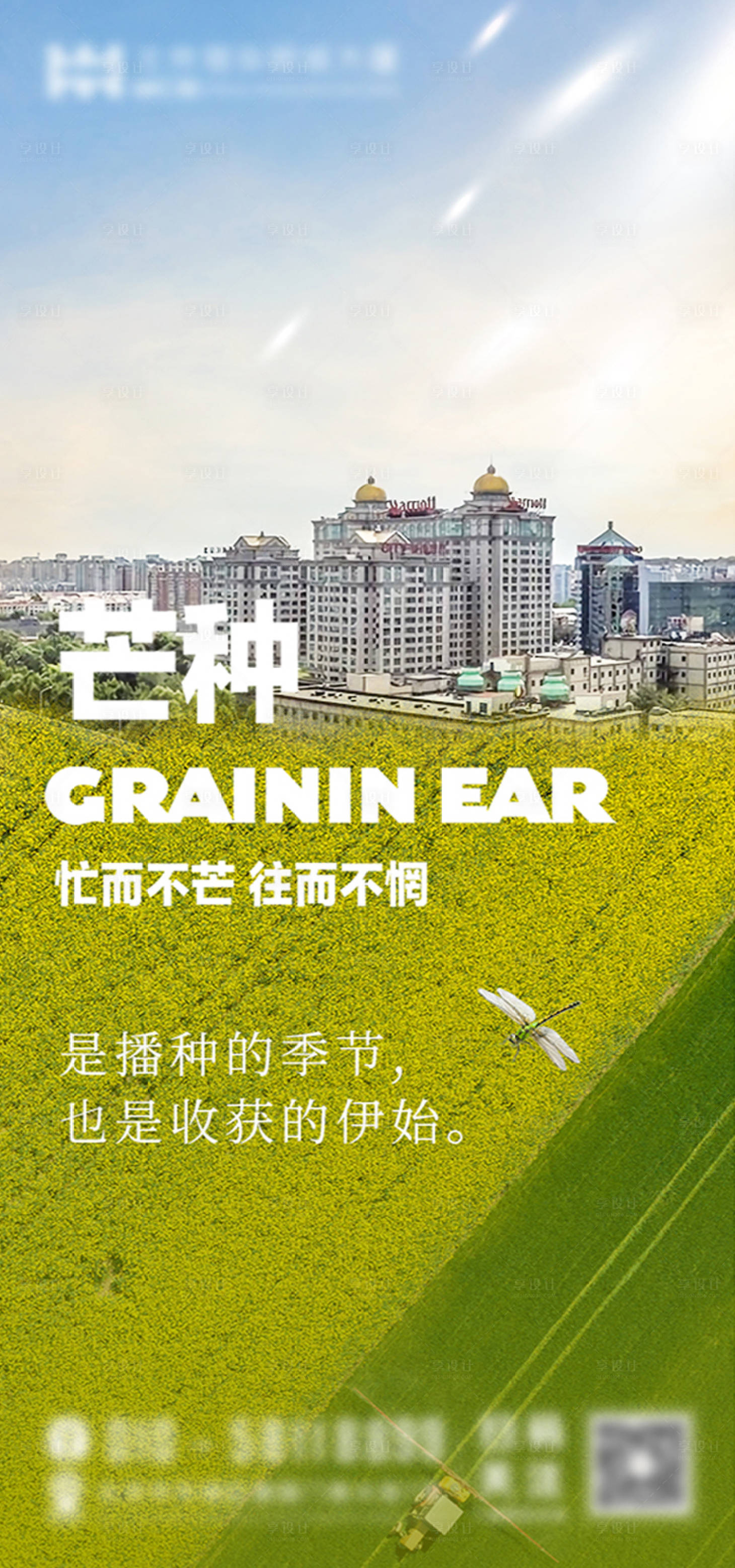 源文件下载【享设计】搜索编号：38490030622452128【芒种节气海报】