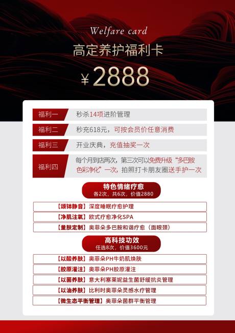源文件下载【美业福利卡项宣传海报】编号：53980031045696004