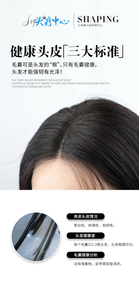 源文件下载【健康头皮科普海报】编号：21980030750661779