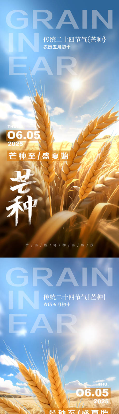 源文件下載【芒種節氣夏日麥穗海報】編號：25970030853103207