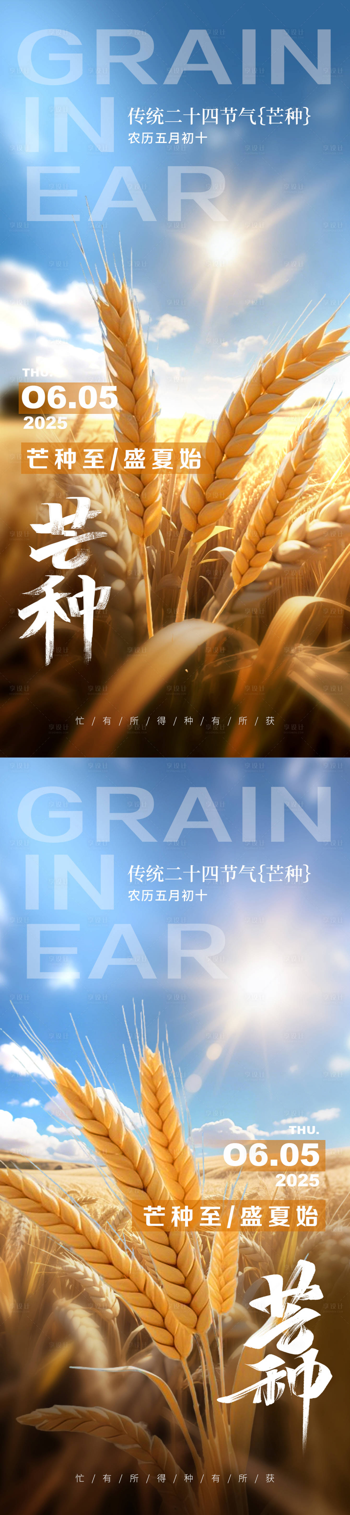 源文件下載【享設計】搜索編號：25970030853103207【芒種節氣夏日麥穗海報】