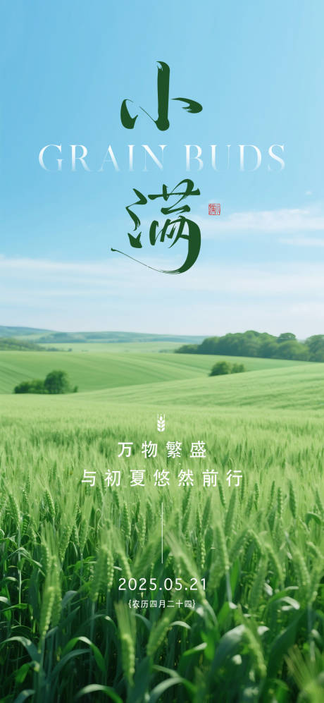 源文件下載【小滿節氣海報】編號：55400030673388248