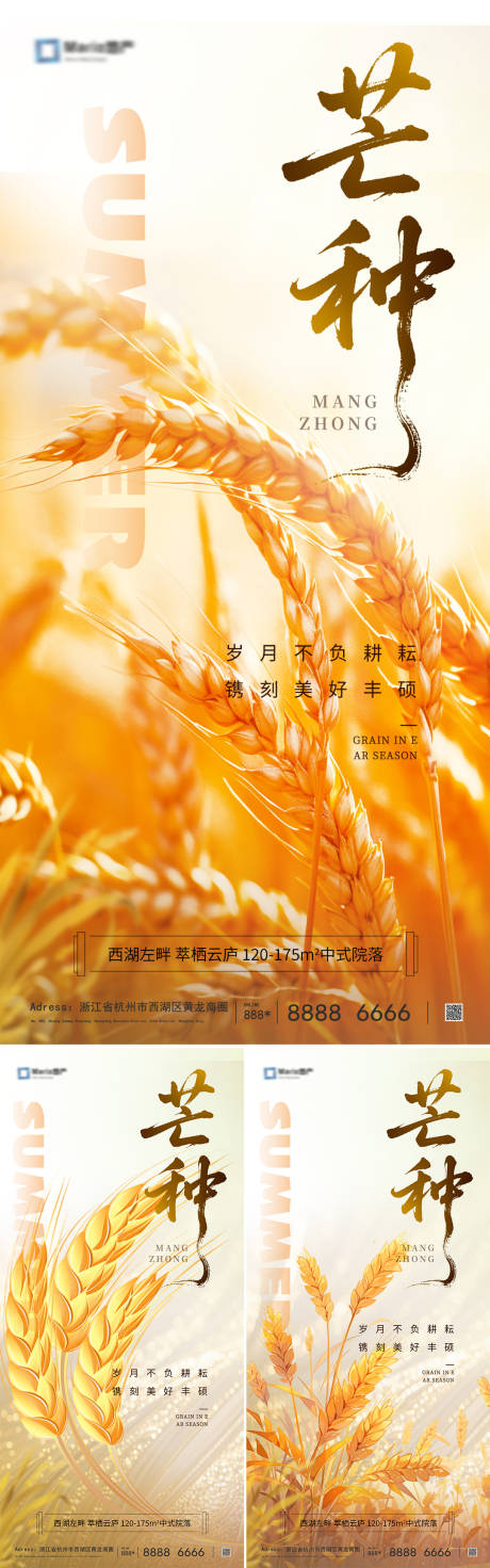 源文件下载【芒种节气海报】编号：72940031086843559
