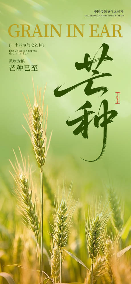 源文件下载【芒种节气海报】编号：77730031064119471