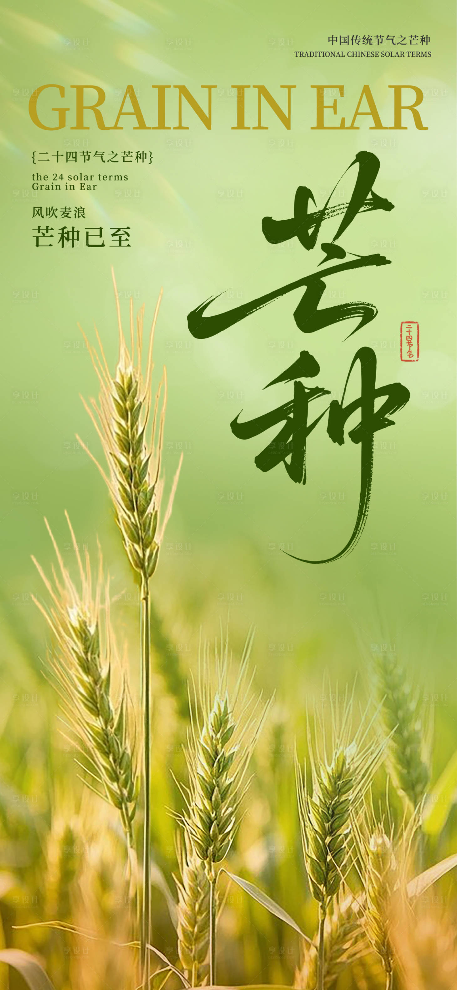 源文件下載【享設計】搜索編號：77730031064119471【芒種節氣海報】