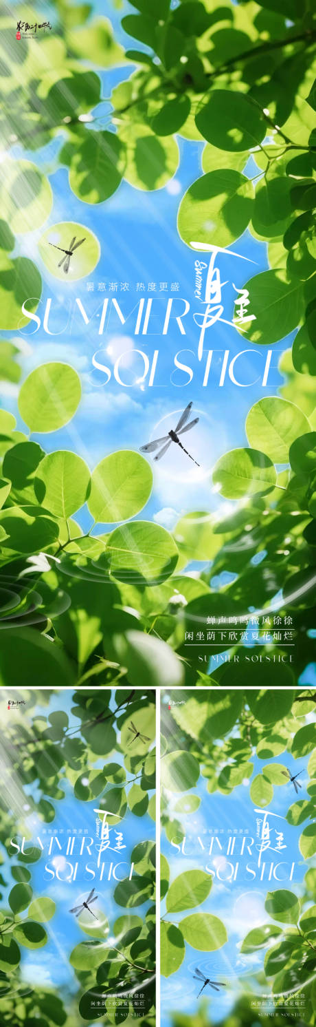 源文件下载【夏至节气海报】编号：38580030935812545