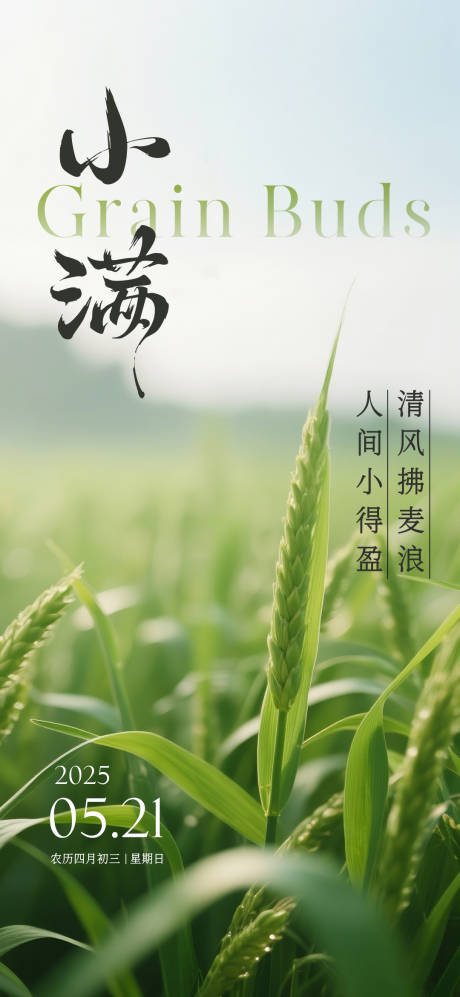 源文件下載【享設(shè)計(jì)】搜索編號(hào)：75940030637775664【小滿節(jié)氣海報(bào)】