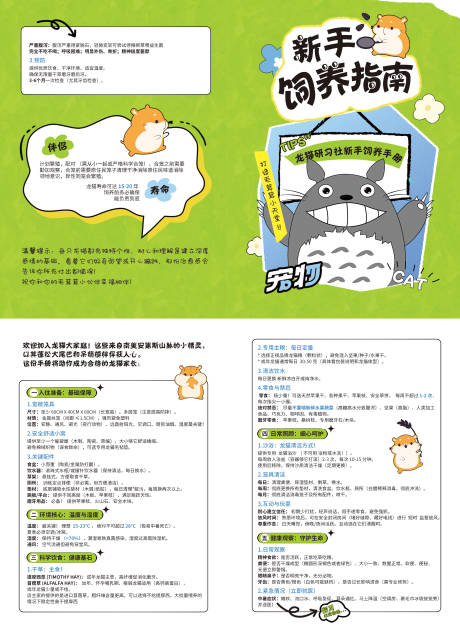 宠物龙猫饲养手册指南