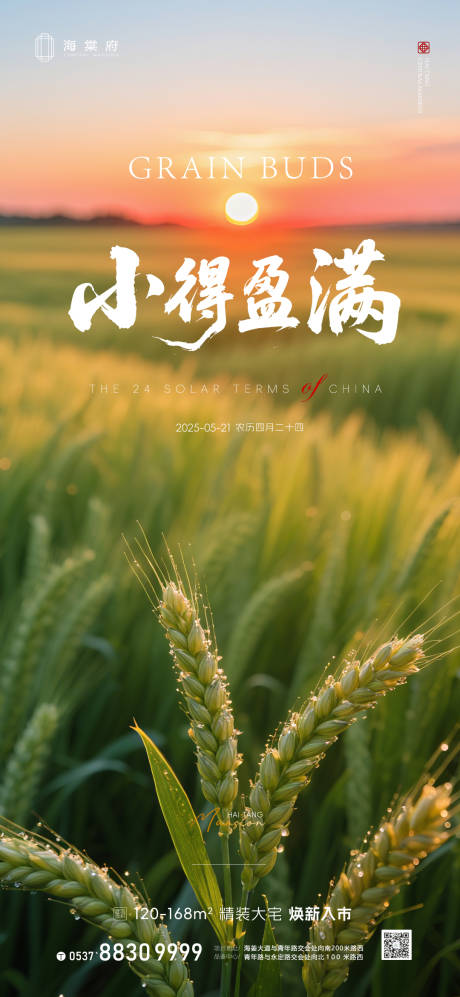 源文件下载【地产小满节气海报】编号：69920030852756792