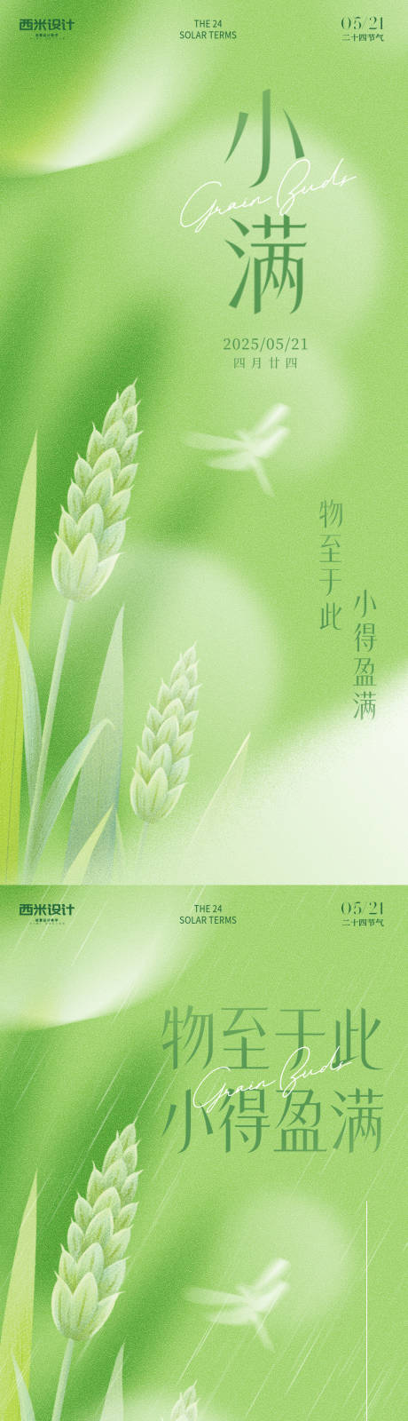 源文件下载【小满绿色海报】编号：46470030665878026