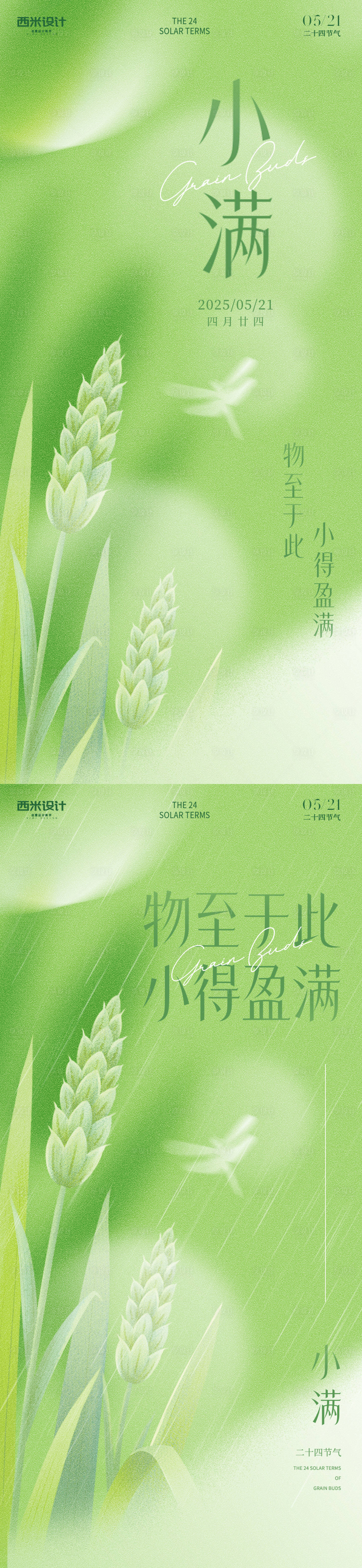 源文件下載【小滿綠色海報】編號：46470030665878026