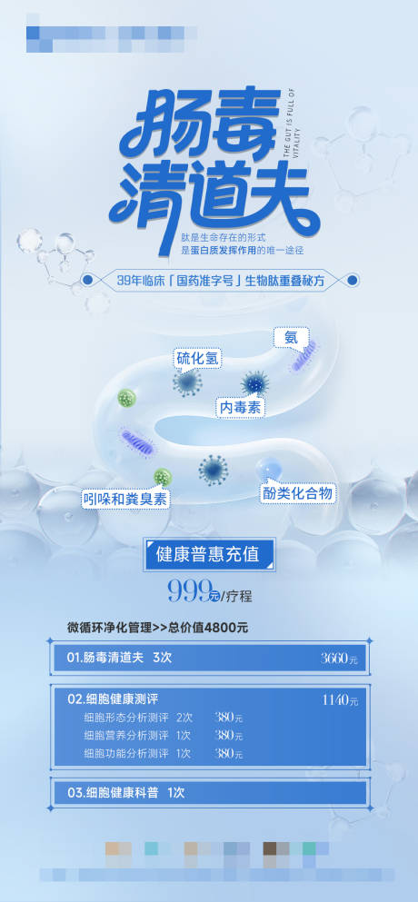 源文件下载【肠道清道夫海报】编号：24510031003355738