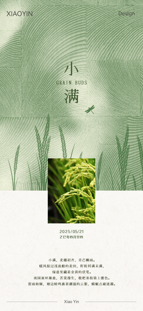 源文件下載【小滿節(jié)氣極簡海報】編號：48600030839828935