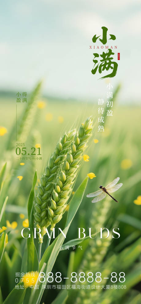 源文件下载【小满节气创意海报】编号：89900030731571836