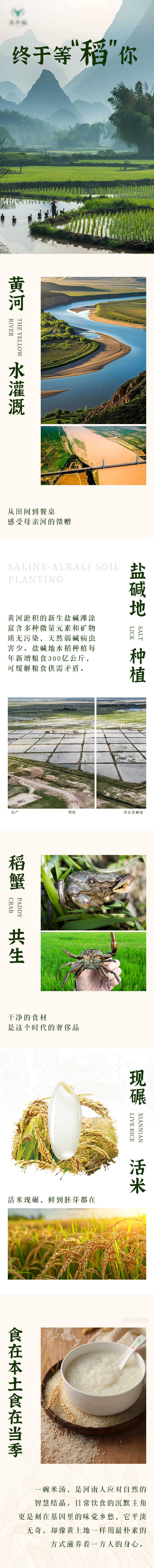 源文件下载【享设计】搜索编号：35510030905661200【稻米推文公众号长文专题设计】