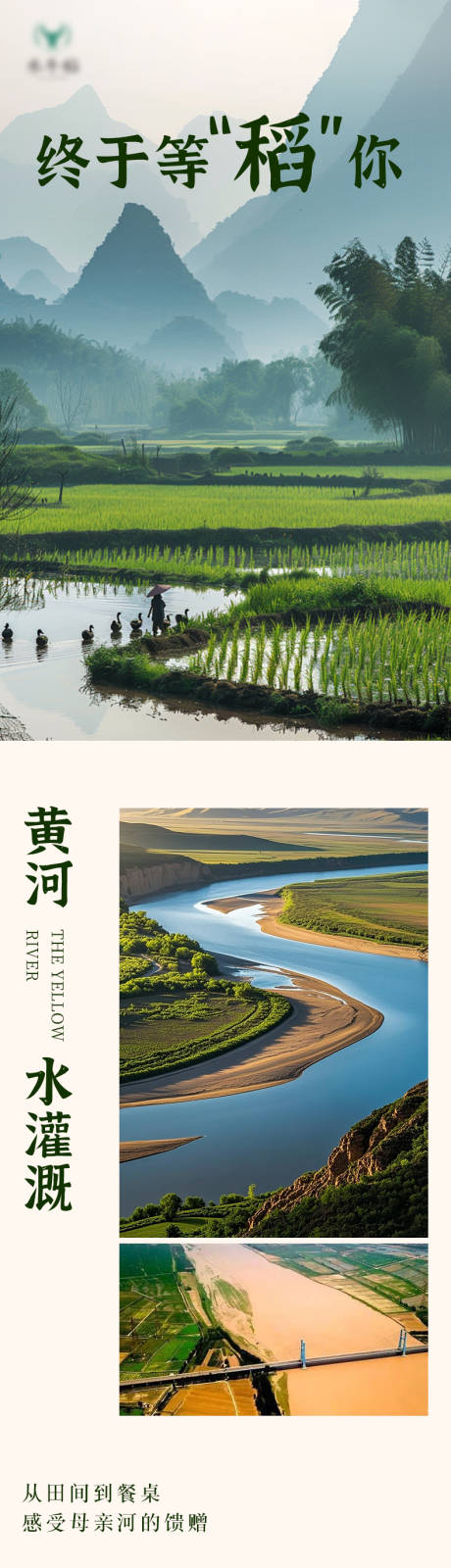 稻米推文公众号长文专题设计