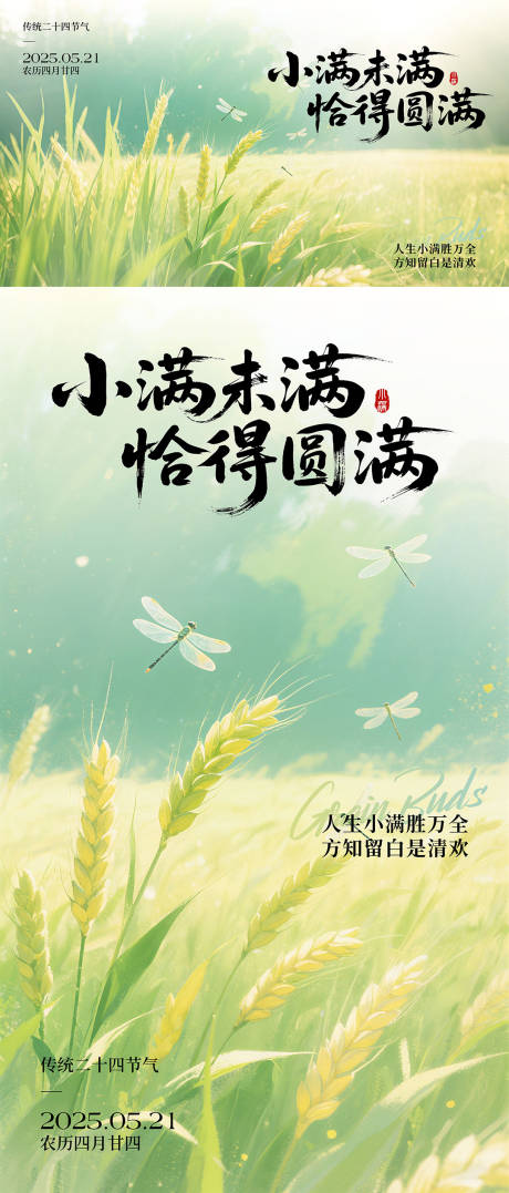 源文件下载【小满节气系列海报展板】编号：35860030779068526