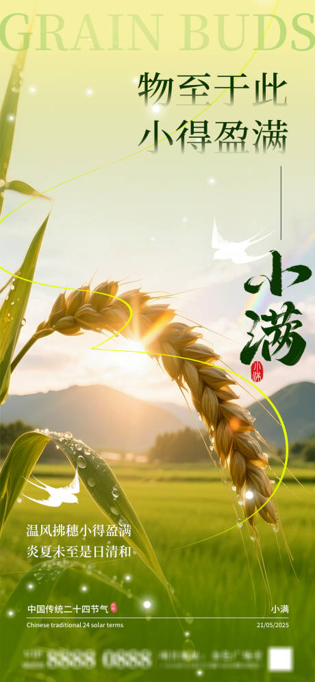 源文件下载【小满节气海报】编号：58550030734634579