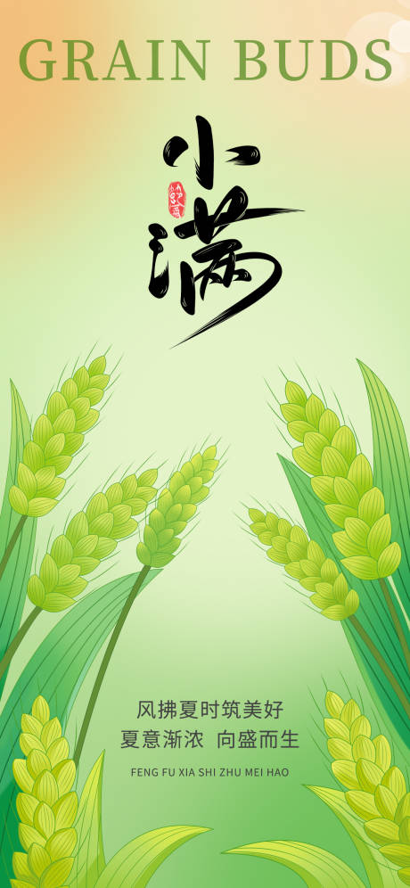 源文件下载【小满节气海报】编号：68690030778572962