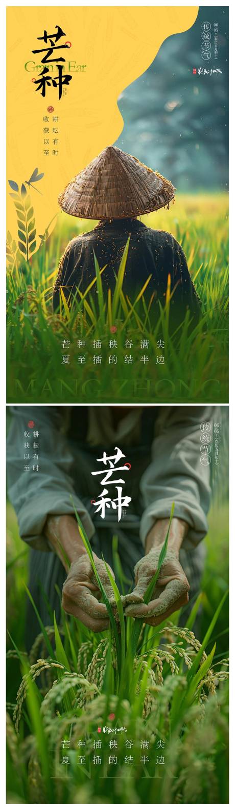 源文件下载【芒种节气海报】编号：16650030846631466