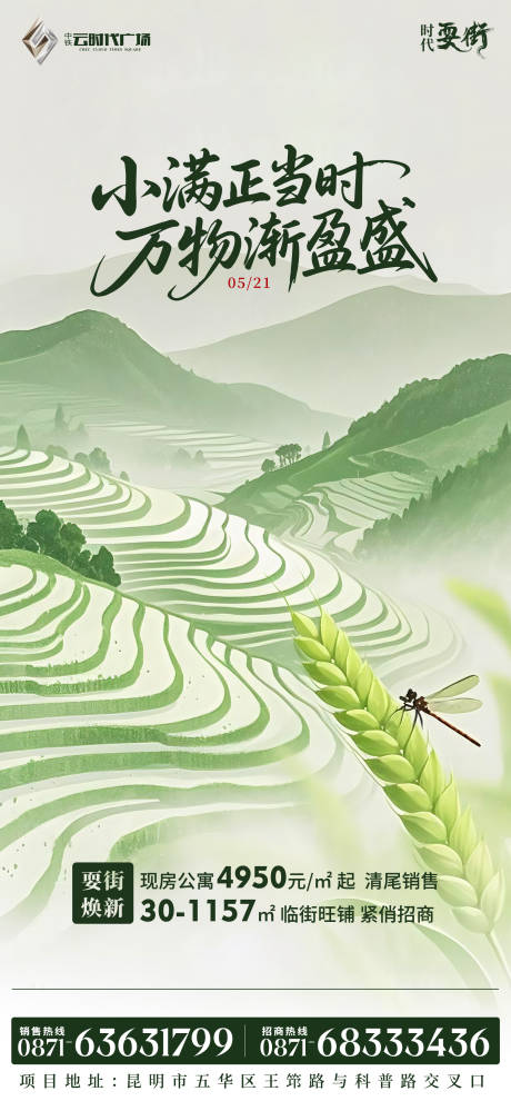 源文件下載【小滿節氣海報】編號：30490030956804586