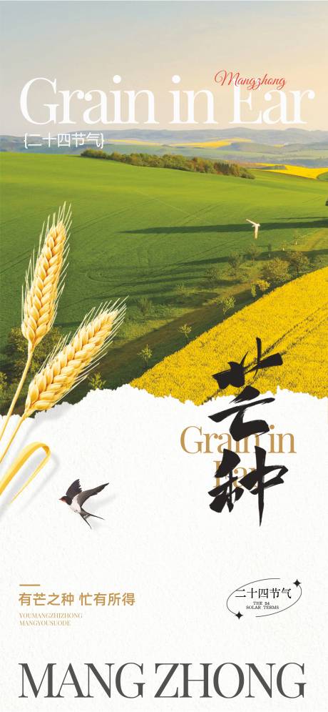 源文件下载【芒种】编号：76390030927402224