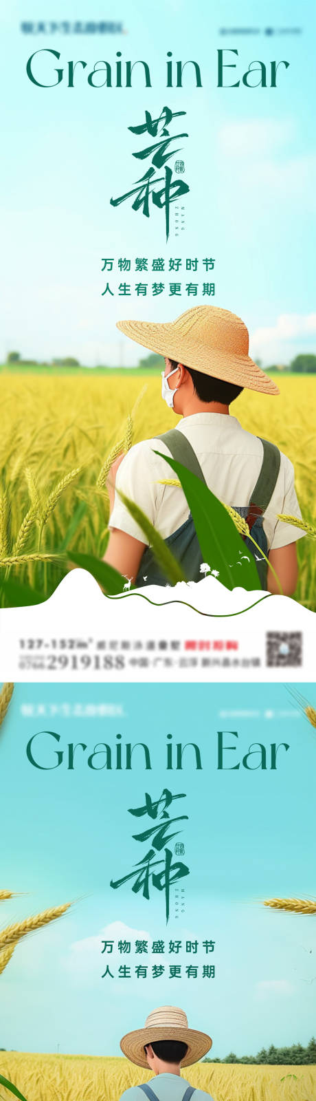 源文件下載【地產芒種節氣海報】編號：16060030994603215