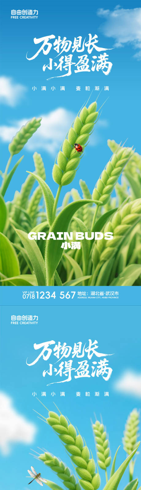 源文件下載【小滿節氣系列海報】編號：97120030806328159