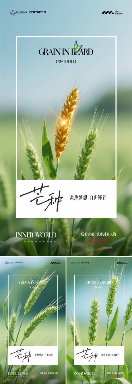 源文件下载【芒种节气海报】编号：55320030862549309