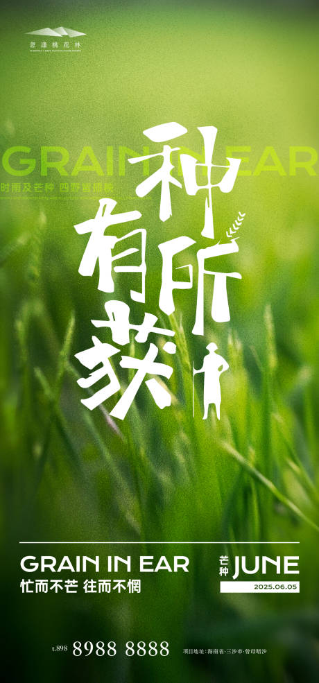 源文件下載【享設計】搜索編號：75460031024774227【芒種節(jié)氣海報】