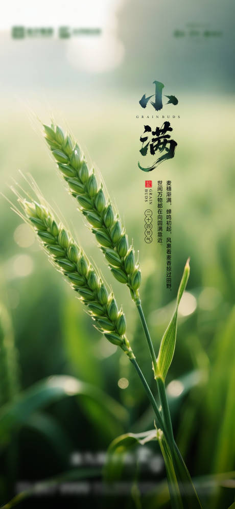 源文件下载【享设计】搜索编号：83540030707329588【小满海报】