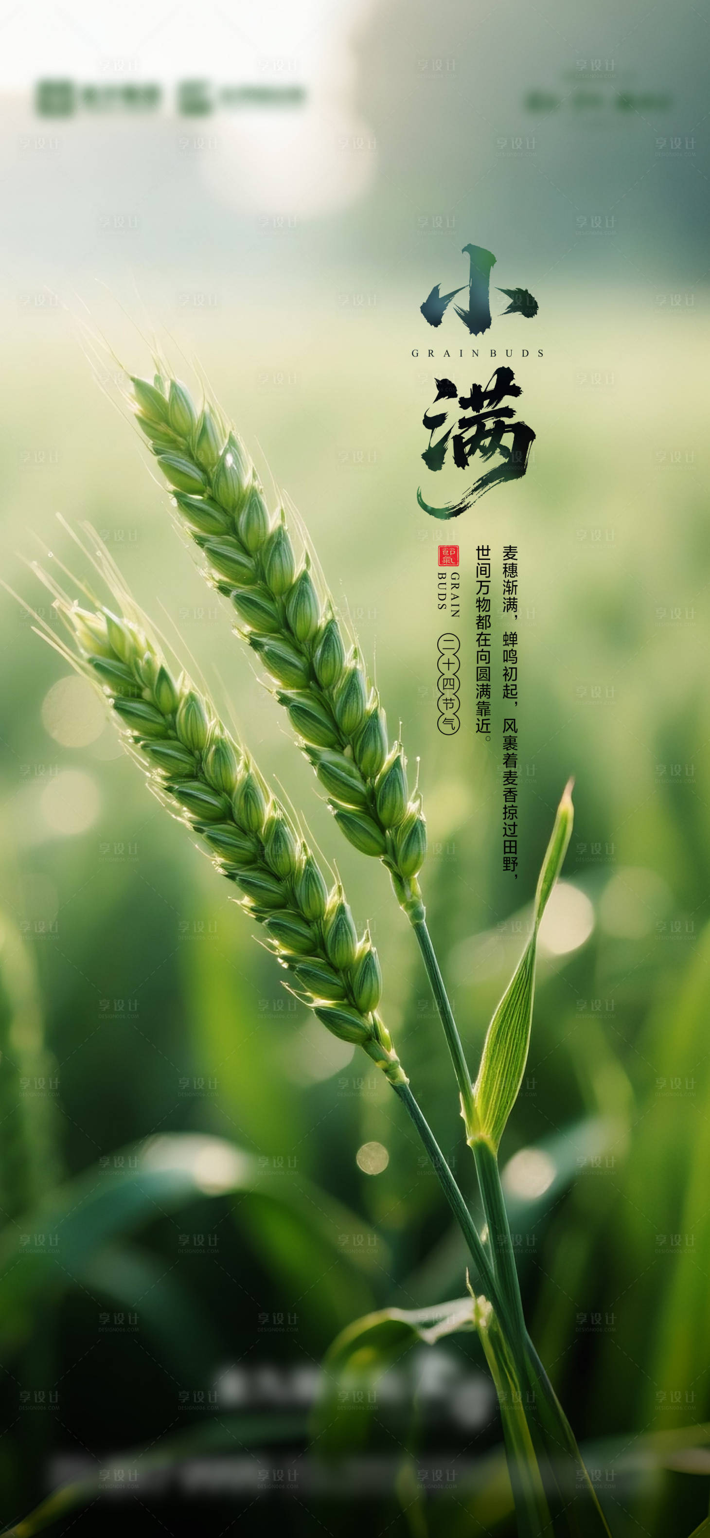 源文件下载【享设计】搜索编号：83540030707329588【小满海报】
