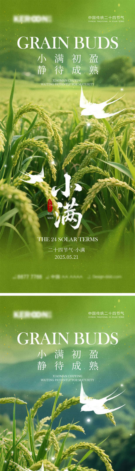 源文件下載【小滿節(jié)氣海報(bào)】編號(hào)：67920030557257613