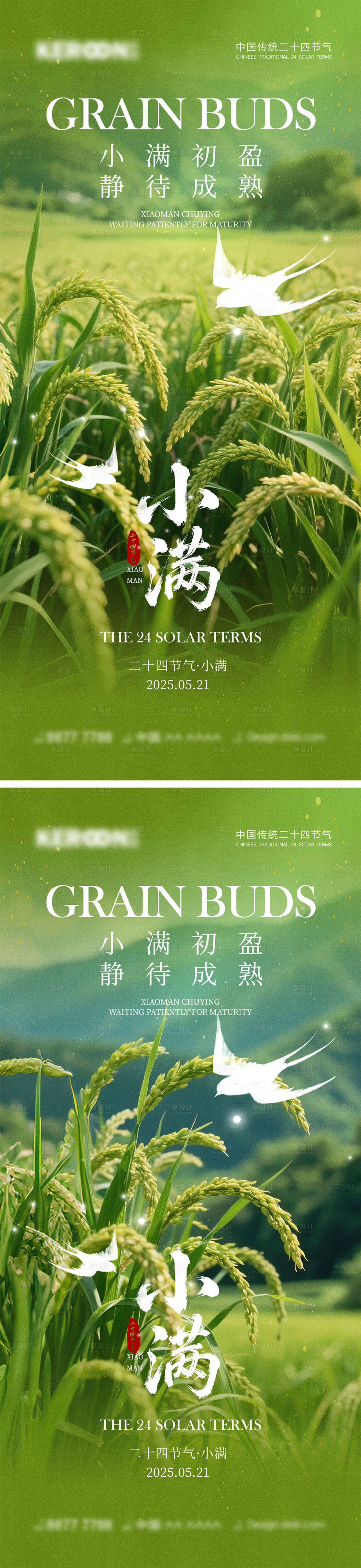 源文件下載【小滿節氣海報】編號：67920030557257613